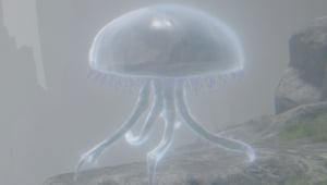 Spirit Jellyfish