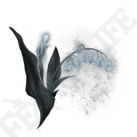 Ghost Glovewort [4]