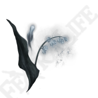 Ghost Glovewort [1]