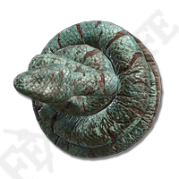Coil Shield