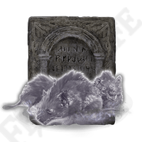 Giant Rat Ashes